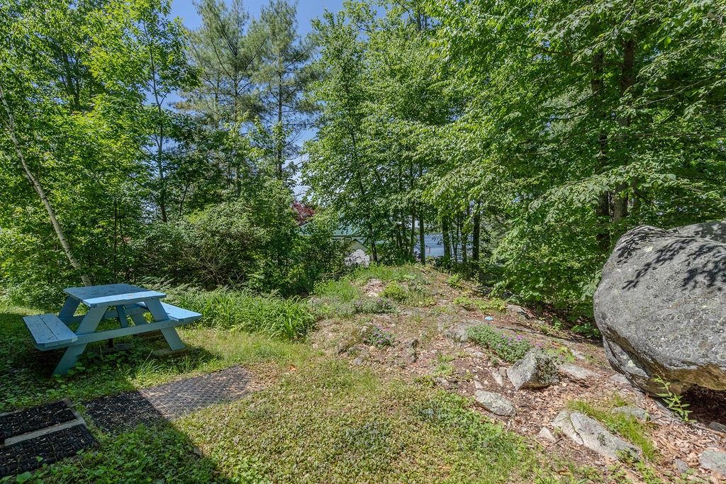 8 Fire 36 Road Strafford, NH 03884 - Photo 27 of 39