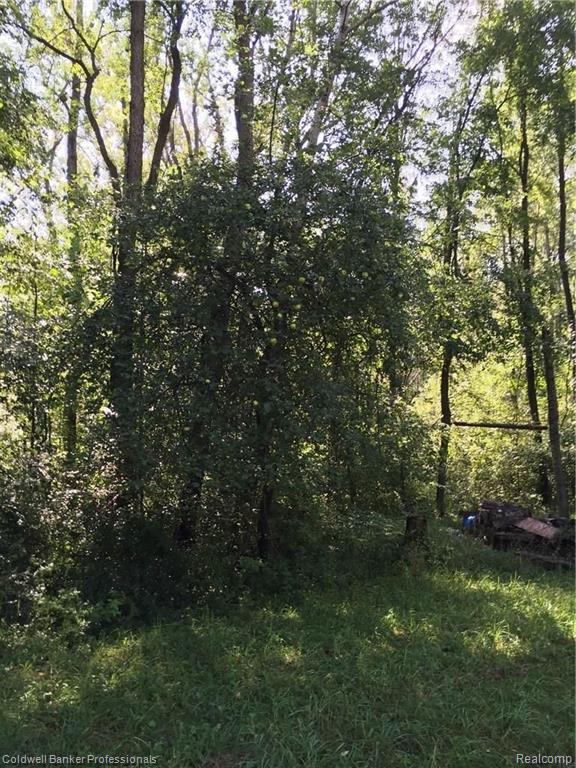 0 Chapinenglehart Road Deford, MI 48729 - Photo 15 of 15
