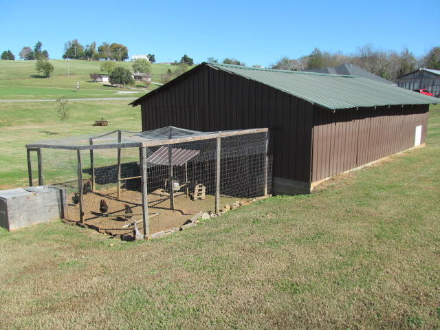 954 Heim Road Rutledge, TN 37861 - Photo 22 of 25 IMG_9237