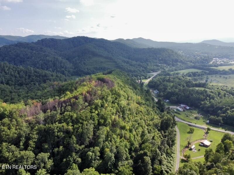 0 Lake Heights Road Tellico Plains, TN 37385 - Photo 6 of 11 Gallery Image 6