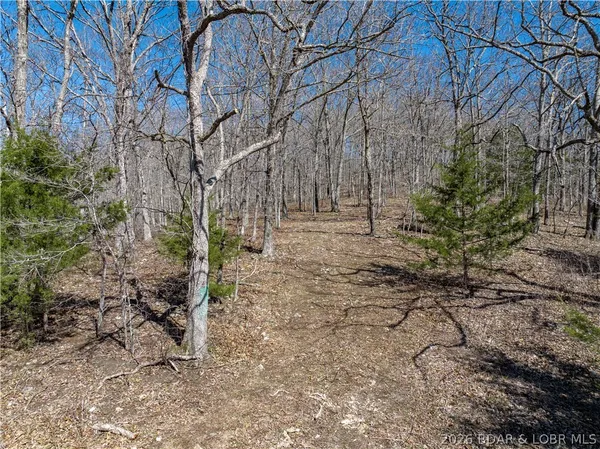 $99,000 | Central Ozarks Road, Edwards, MO 65326