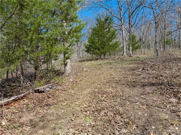 $99,000 | Central Ozarks Road, Edwards, MO 65326