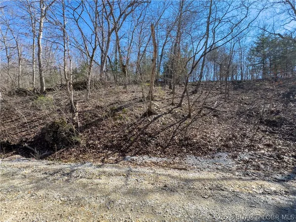 $99,000 | Central Ozarks Road, Edwards, MO 65326