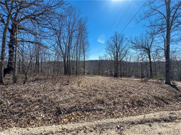 $99,000 | Central Ozarks Road, Edwards, MO 65326