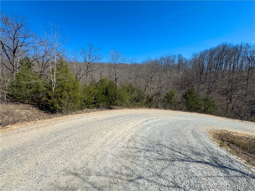 Central Ozarks Road Edwards, MO 65326 - Photo 19 of 37