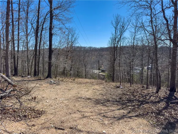 $99,000 | Central Ozarks Road, Edwards, MO 65326