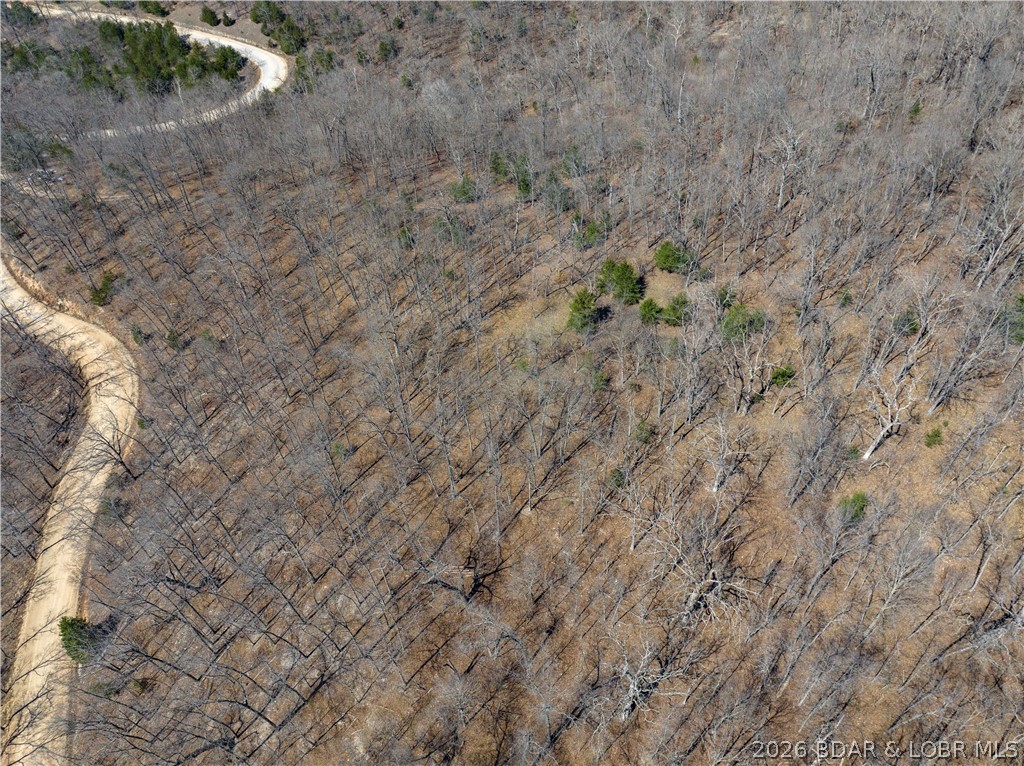 Central Ozarks Road Edwards, MO 65326 - Photo 21 of 37