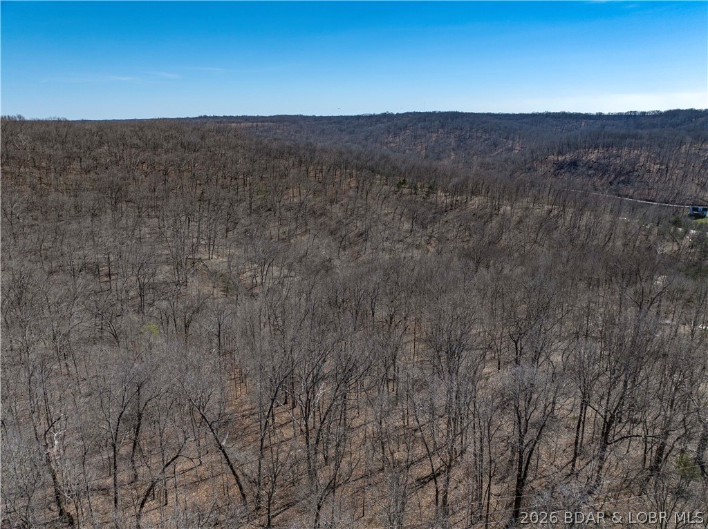 Central Ozarks Road Edwards, MO 65326 - Photo 30 of 37