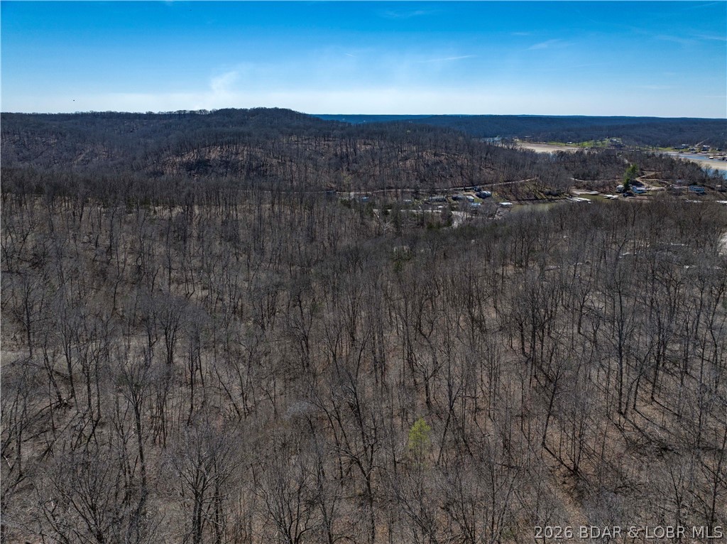 Central Ozarks Road Edwards, MO 65326 - Photo 31 of 37