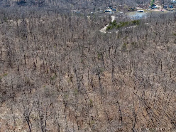 $99,000 | Central Ozarks Road, Edwards, MO 65326