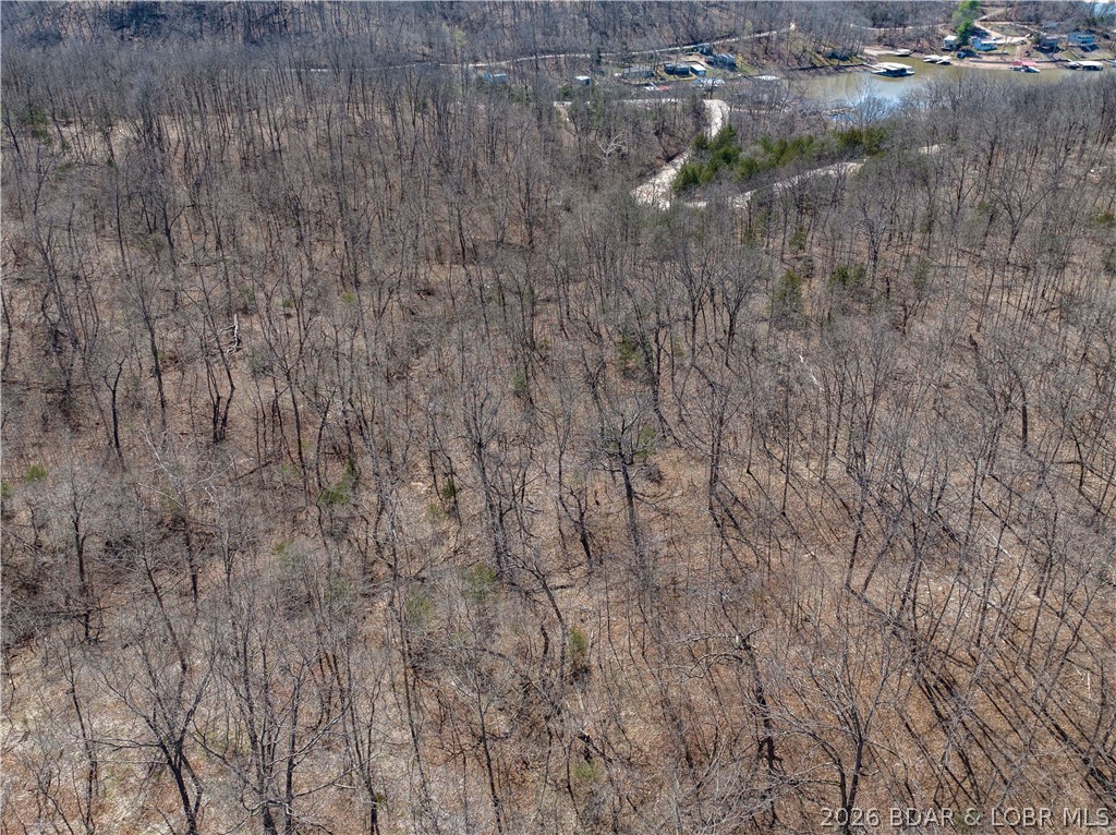 Central Ozarks Road Edwards, MO 65326 - Photo 32 of 37