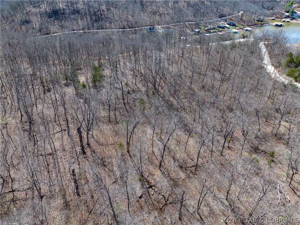 Central Ozarks Road Edwards, MO 65326 - Photo 33 of 37