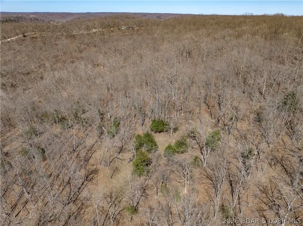 $99,000 | Central Ozarks Road, Edwards, MO 65326