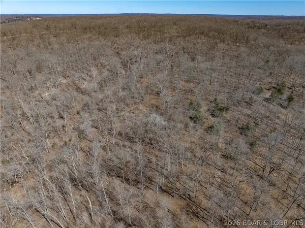 $99,000 | Central Ozarks Road, Edwards, MO 65326