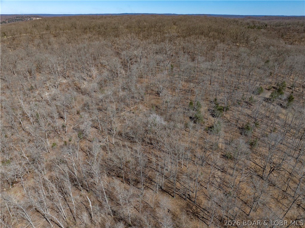 Central Ozarks Road Edwards, MO 65326 - Photo 35 of 37