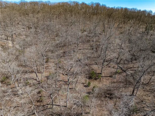 $99,000 | Central Ozarks Road, Edwards, MO 65326