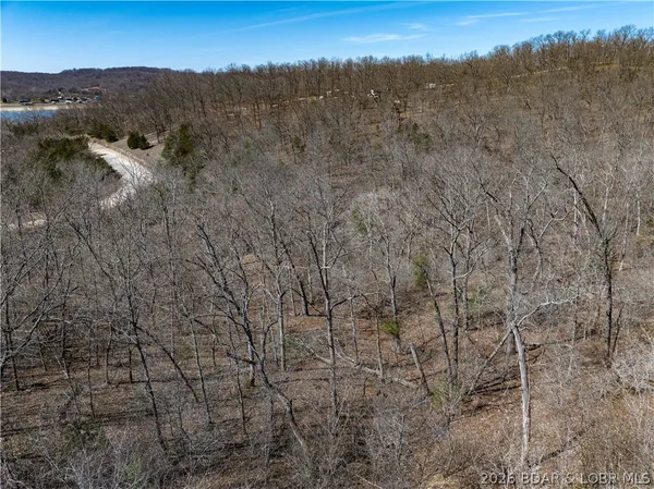 $99,000 | Central Ozarks Road, Edwards, MO 65326