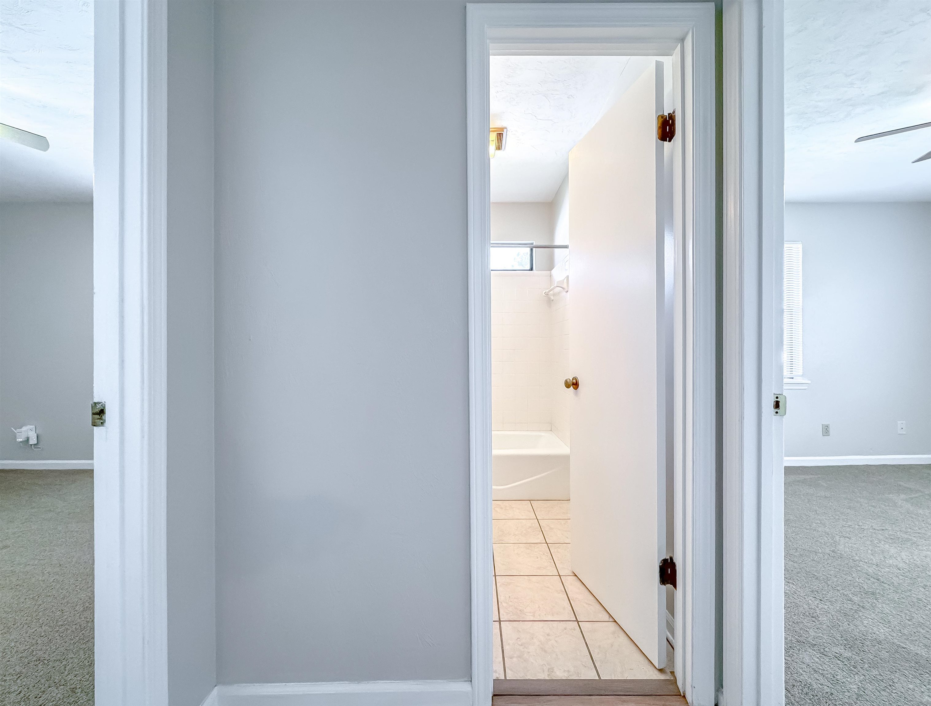 306 Belmont Road Tallahassee, FL 32301 - Photo 25 of 36