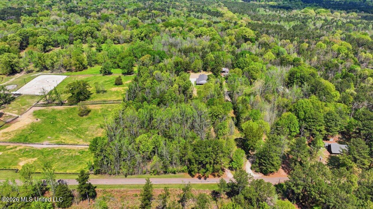 170 Spring Road Flora, MS 39071 - Photo 42 of 77 42-170 Spring Rd _ Home Tours MS