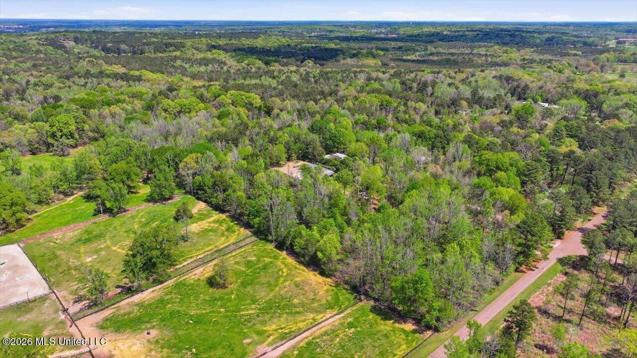 170 Spring Road Flora, MS 39071 - Photo 44 of 77 44-170 Spring Rd _ Home Tours MS