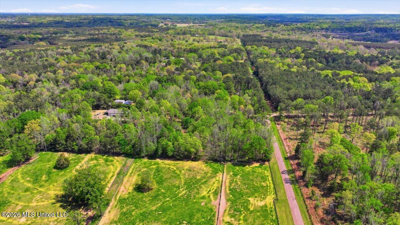 170 Spring Road Flora, MS 39071 - Photo 45 of 77 45-170 Spring Rd _ Home Tours MS