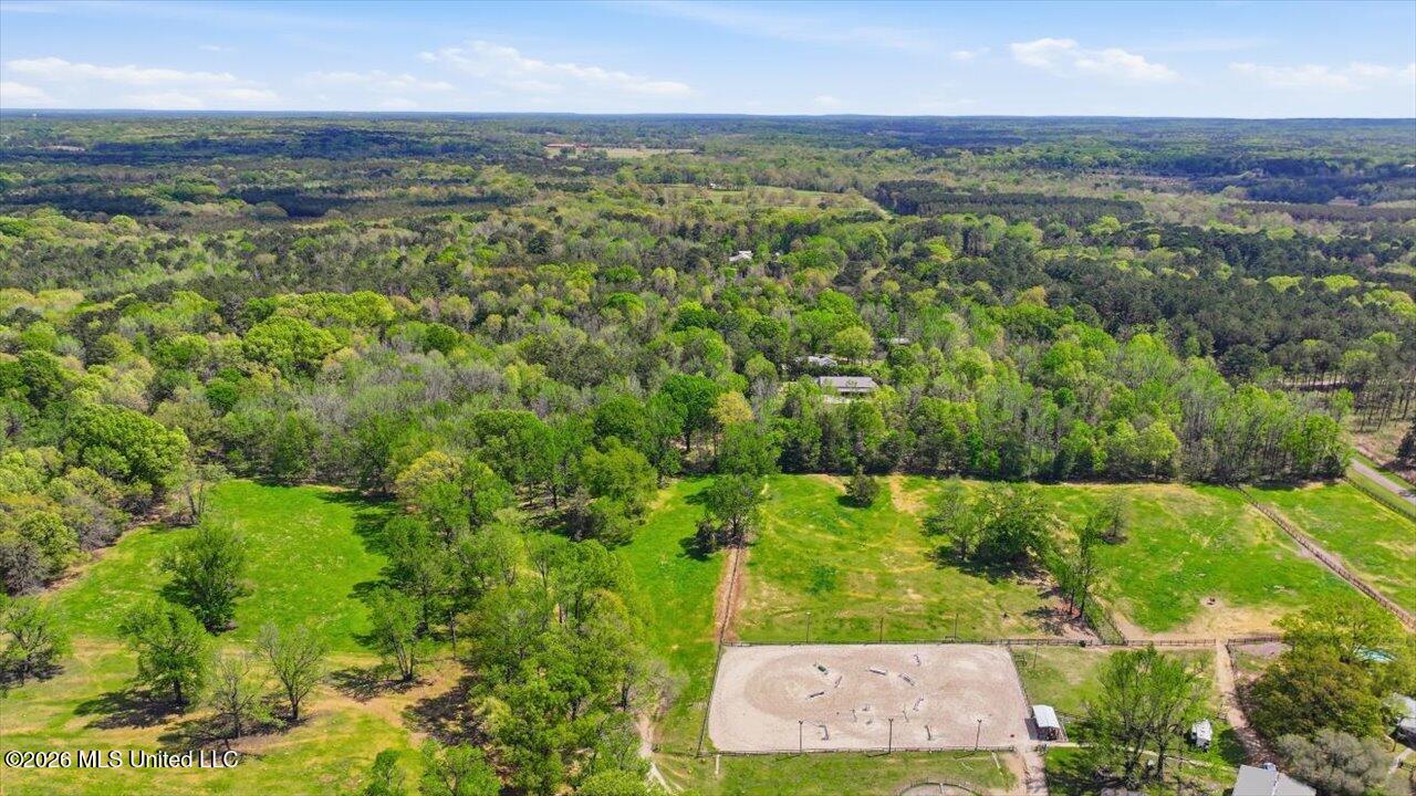 170 Spring Road Flora, MS 39071 - Photo 46 of 77 46-170 Spring Rd _ Home Tours MS
