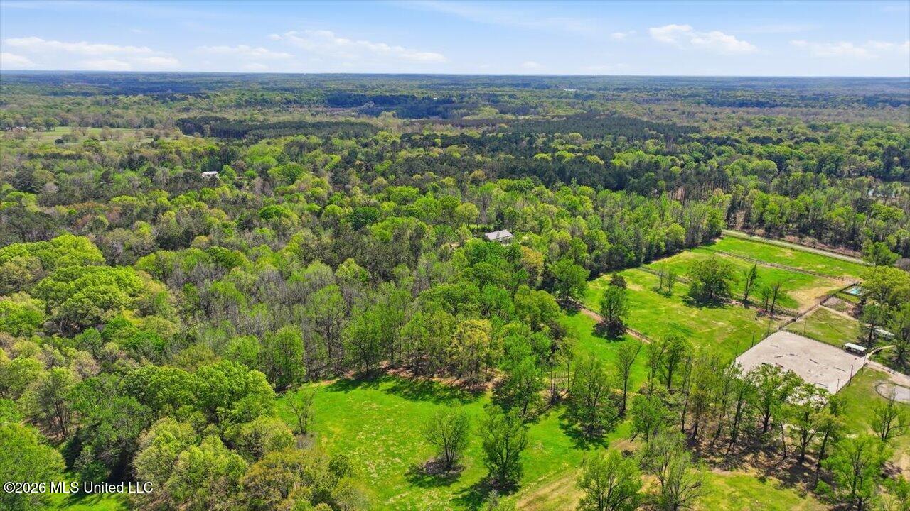 170 Spring Road Flora, MS 39071 - Photo 47 of 77 47-170 Spring Rd _ Home Tours MS
