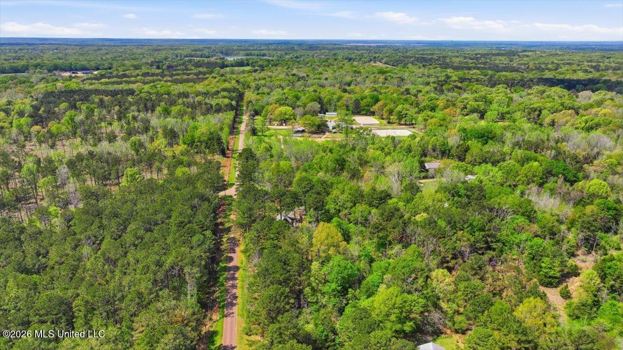 170 Spring Road Flora, MS 39071 - Photo 51 of 77 51-170 Spring Rd _ Home Tours MS