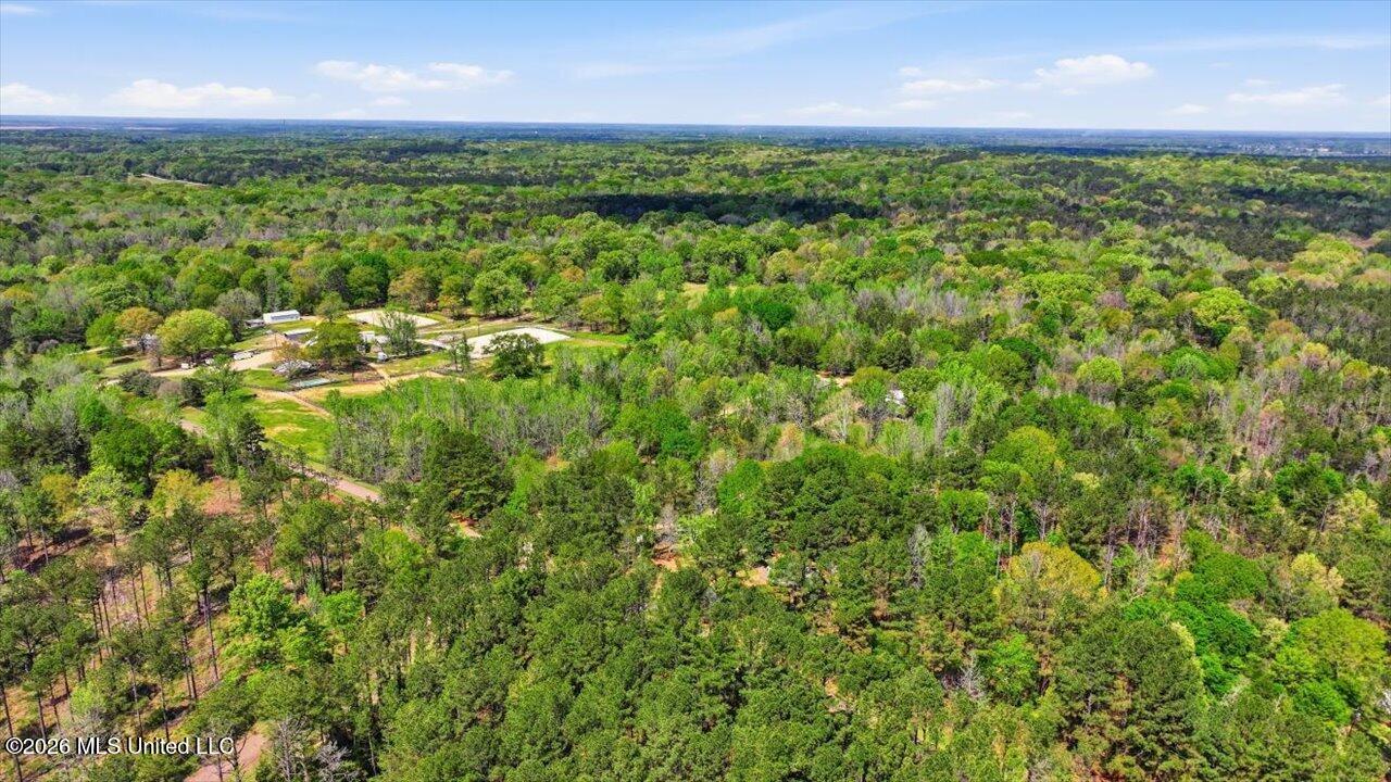 170 Spring Road Flora, MS 39071 - Photo 52 of 77 52-170 Spring Rd _ Home Tours MS