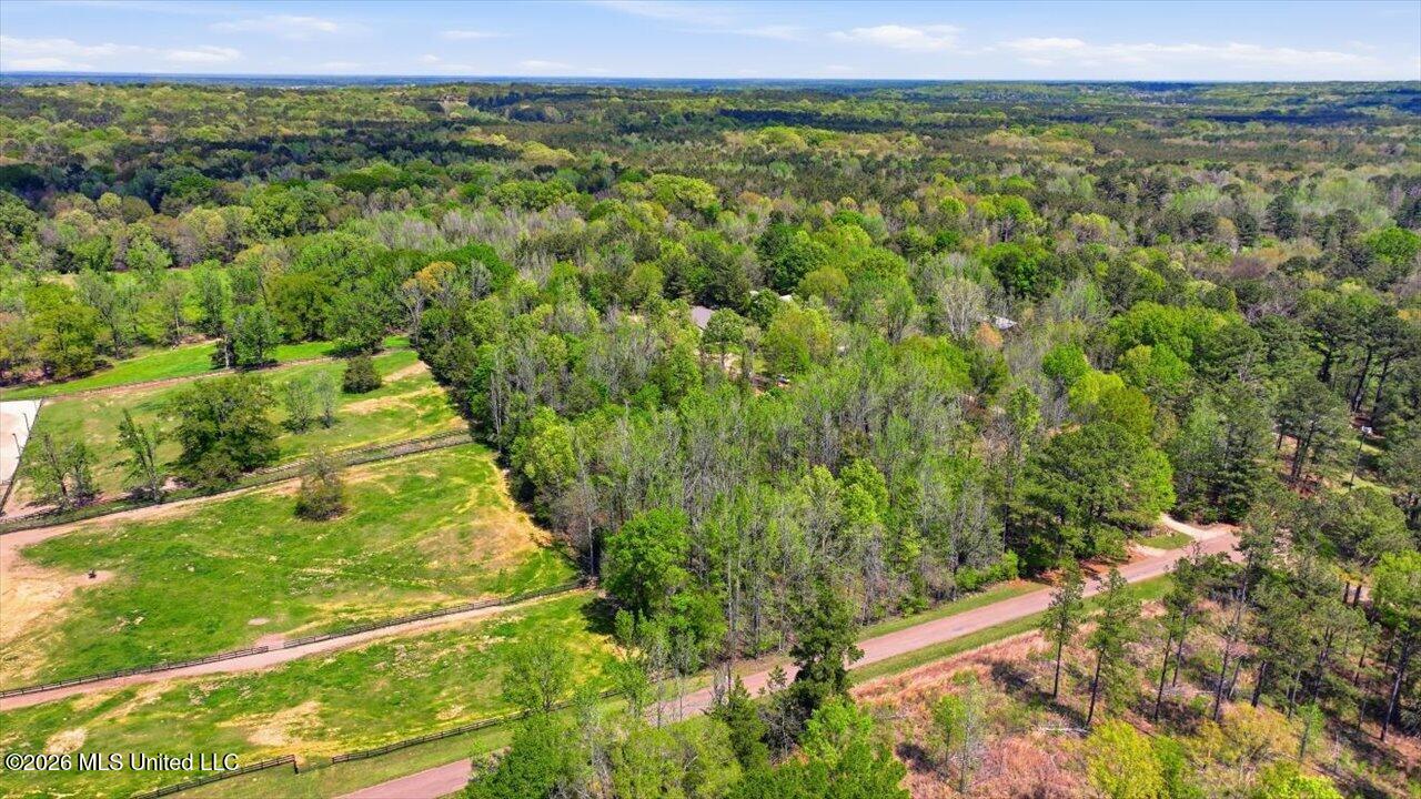 170 Spring Road Flora, MS 39071 - Photo 55 of 77 55-170 Spring Rd _ Home Tours MS