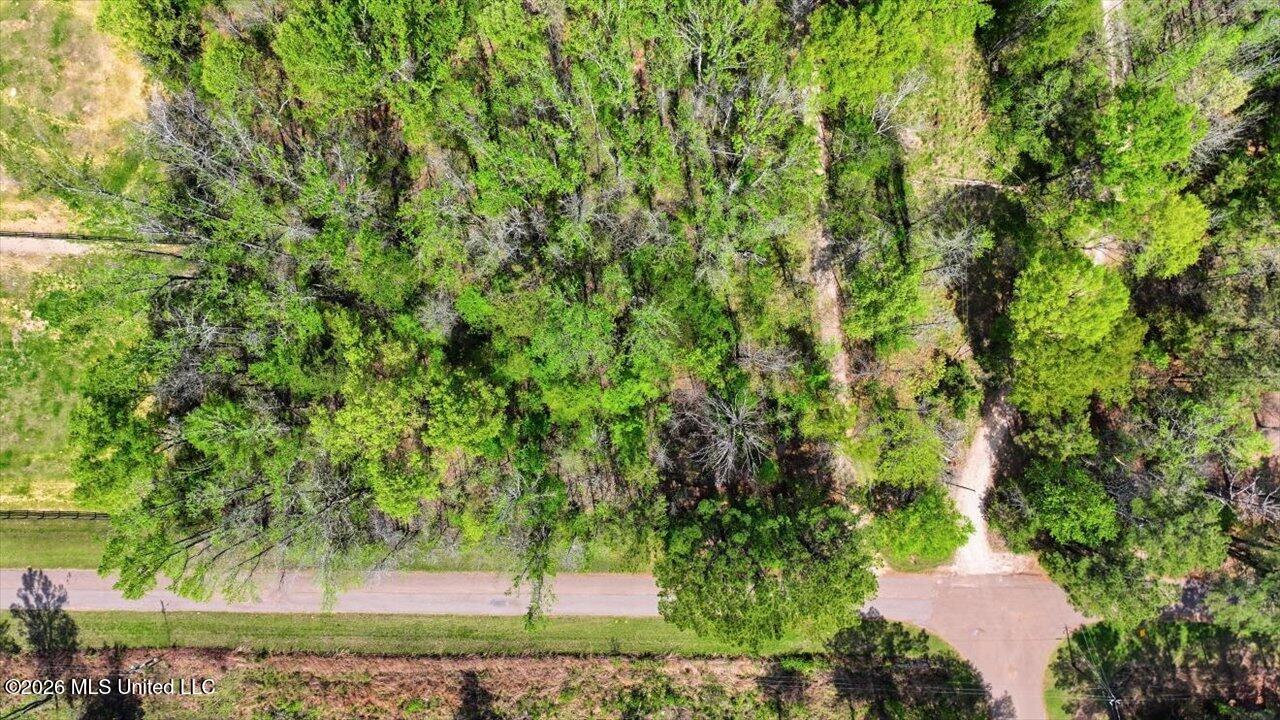 170 Spring Road Flora, MS 39071 - Photo 56 of 77 56-170 Spring Rd _ Home Tours MS