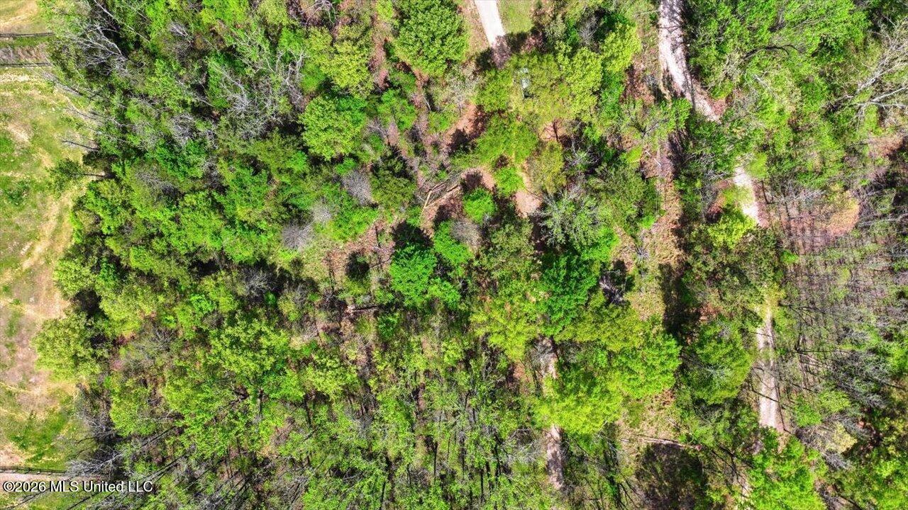 170 Spring Road Flora, MS 39071 - Photo 57 of 77 57-170 Spring Rd _ Home Tours MS