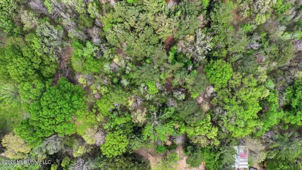 $575,000 | 170 Spring Road, Flora, MS 39071