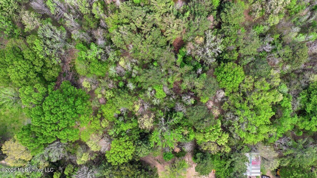 170 Spring Road Flora, MS 39071 - Photo 60 of 77 60-170 Spring Rd _ Home Tours MS