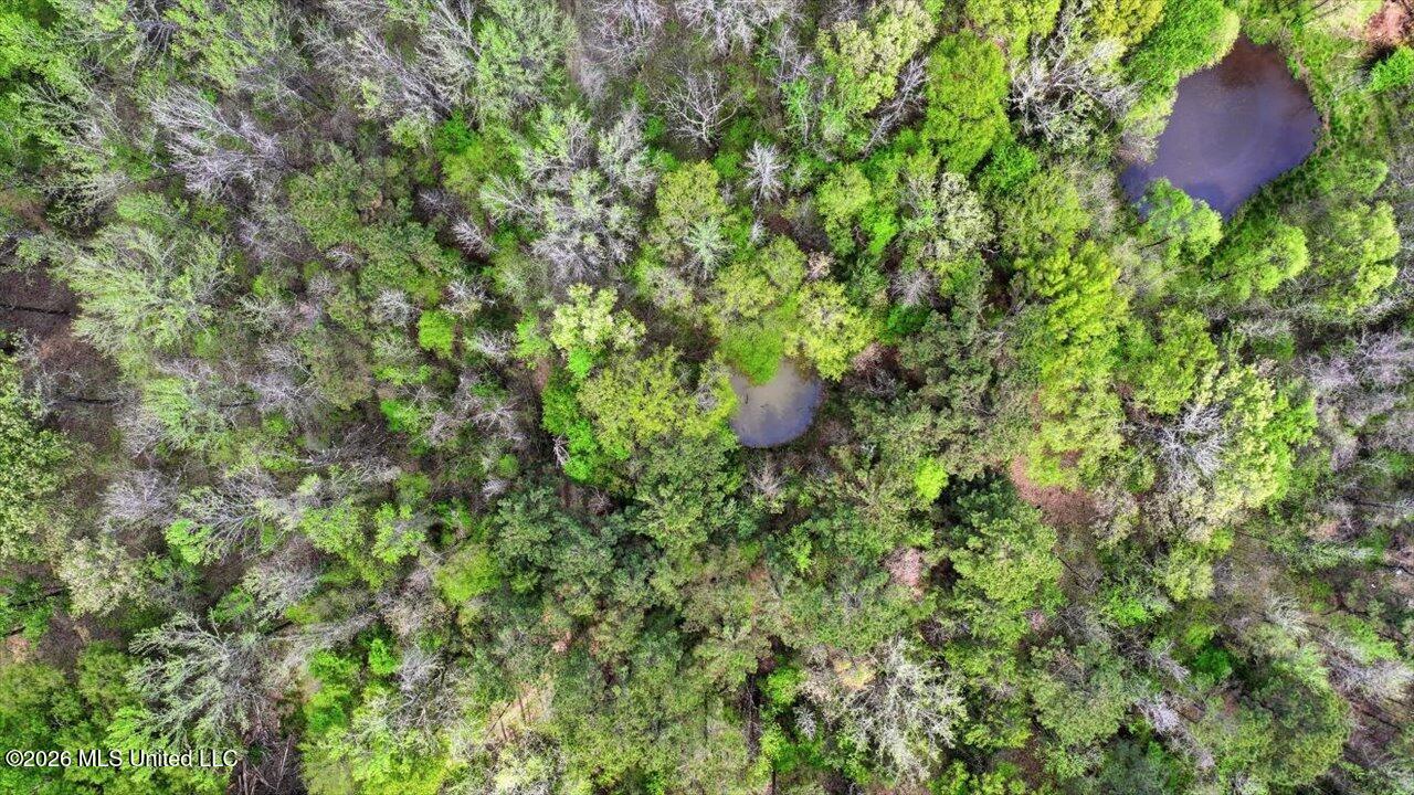 170 Spring Road Flora, MS 39071 - Photo 61 of 77 61-170 Spring Rd _ Home Tours MS