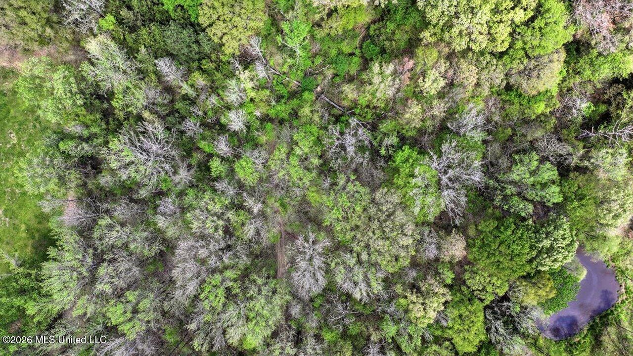 170 Spring Road Flora, MS 39071 - Photo 62 of 77 62-170 Spring Rd _ Home Tours MS