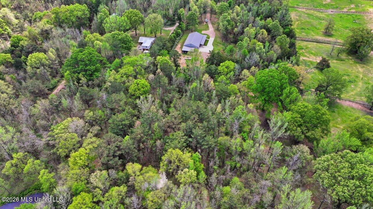 170 Spring Road Flora, MS 39071 - Photo 63 of 77 63-170 Spring Rd _ Home Tours MS
