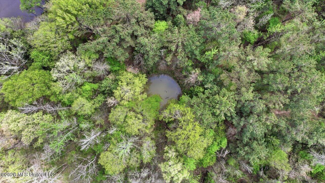 170 Spring Road Flora, MS 39071 - Photo 64 of 77 64-170 Spring Rd _ Home Tours MS