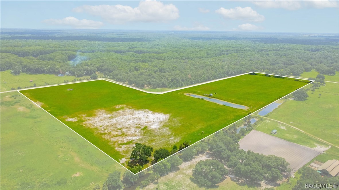 10774 East Lucas Trail Inverness, FL 34450 - Photo 1 of 18