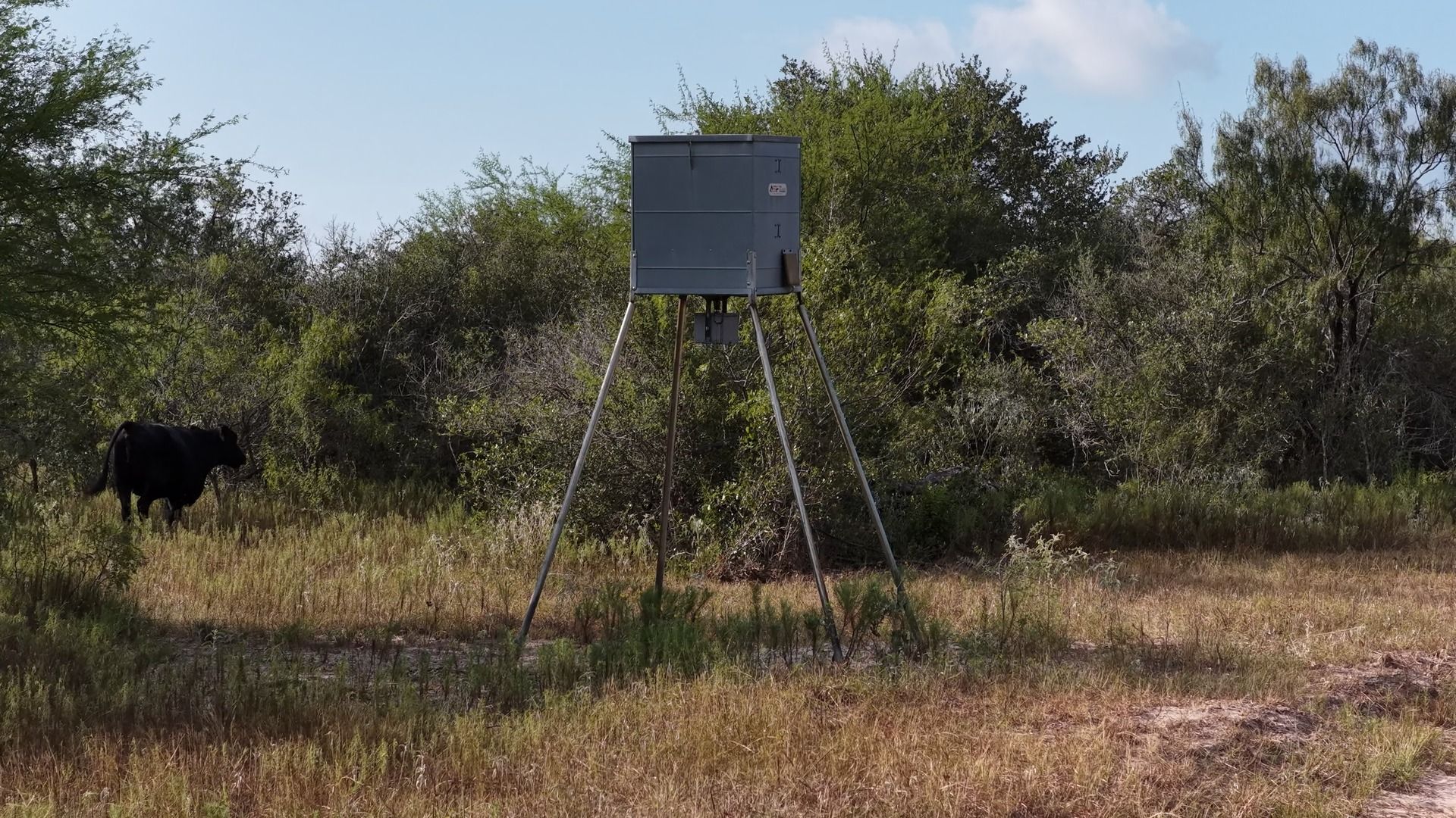 251 Old Goliad Road Refugio, TX 78377 - Photo 16 of 40 Mature trees and open pasture land provide an ideal setting for outdoor recreation.