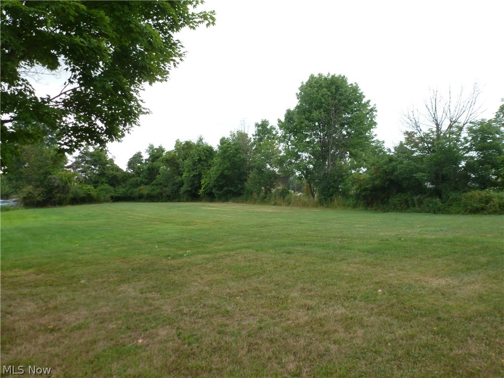 771 Lafayette Road Medina, OH 44256 - Photo 29 of 29 Gallery Image 29