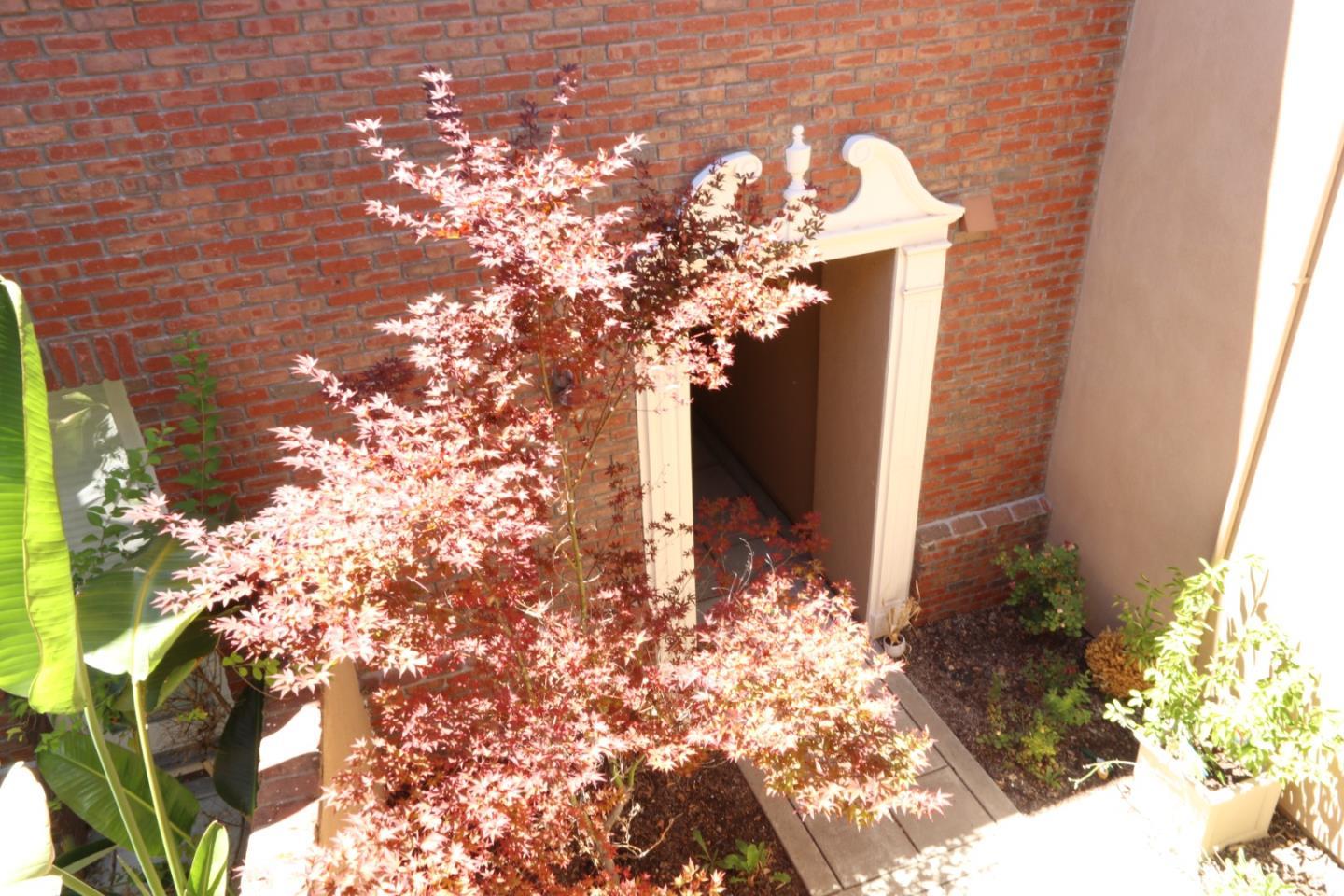7754 Stoneleaf Road San Ramon, CA 94582 - Photo 5 of 25 a vase of flowers sitting in a yard