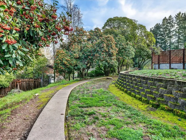 a view of a yard with plants and trees