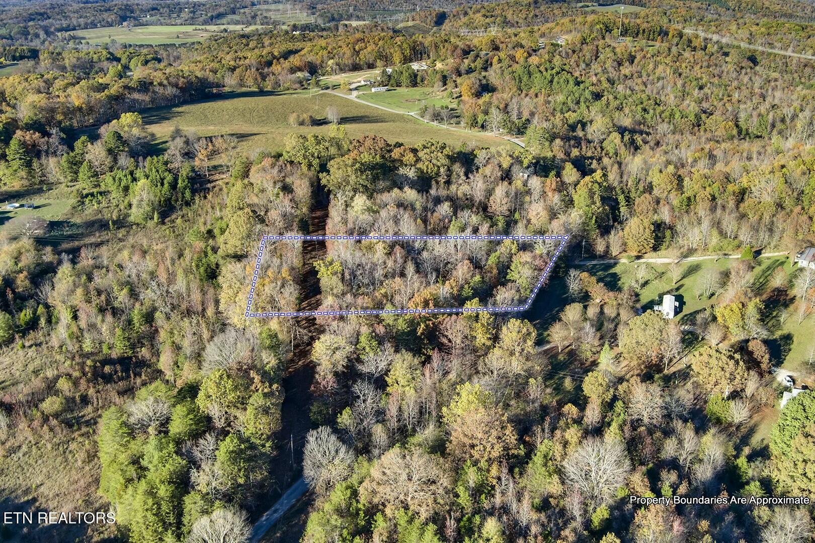 3-5 Morrison Road Decatur, TN 37322 - Photo 11 of 12 tempImageZjcS20