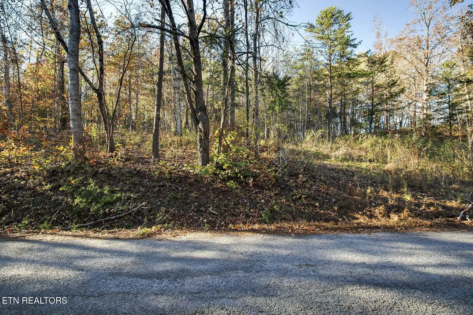 3-5 Morrison Road Decatur, TN 37322 - Photo 2 of 12 tempImagefqy9yT