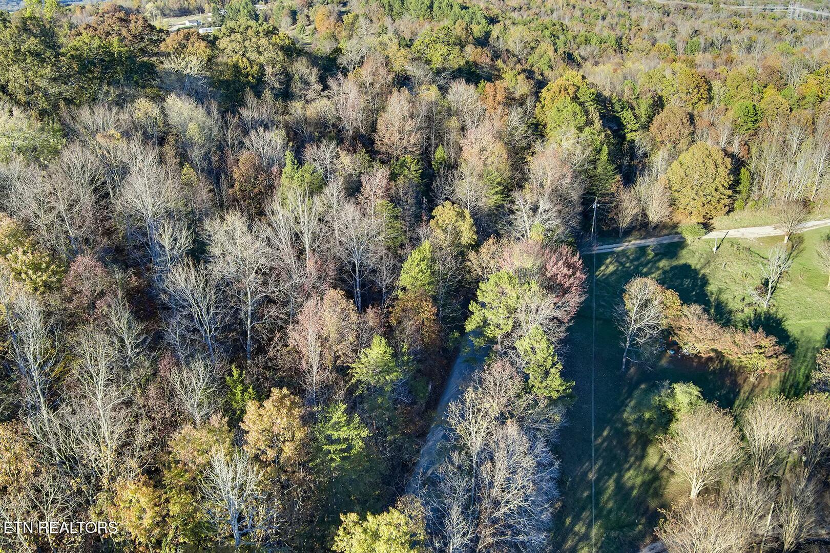 3-5 Morrison Road Decatur, TN 37322 - Photo 3 of 12 tempImageVEjCjO