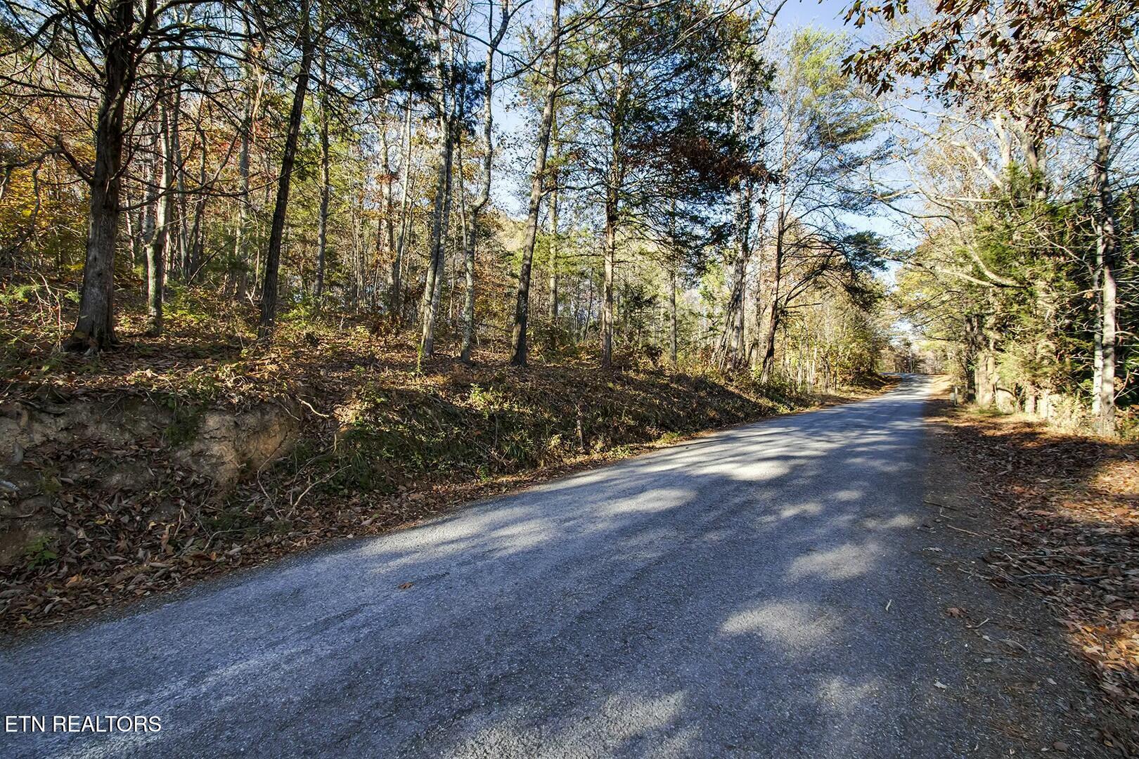 3-5 Morrison Road Decatur, TN 37322 - Photo 4 of 12 tempImagehn4hvy