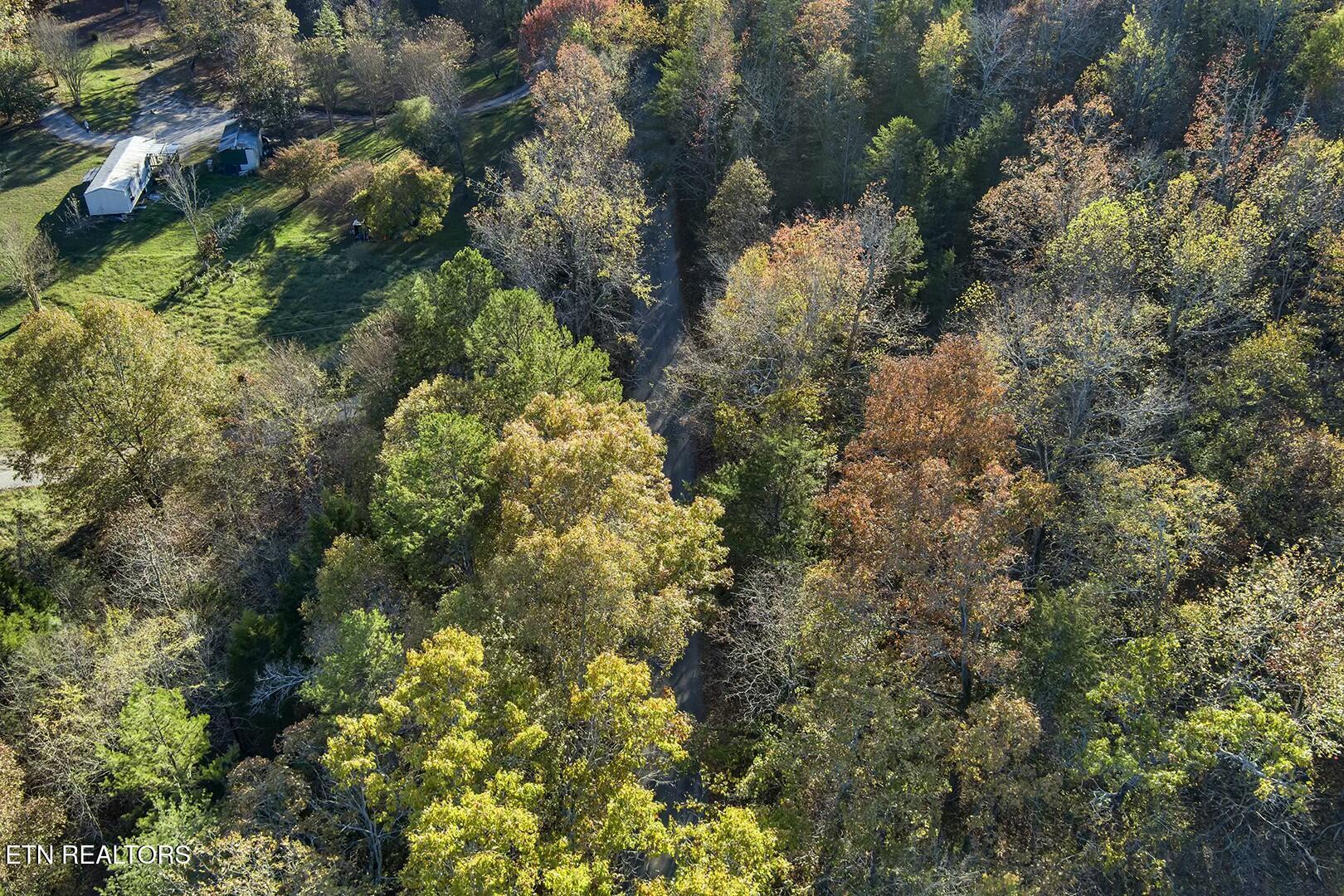 3-5 Morrison Road Decatur, TN 37322 - Photo 5 of 12 tempImageHEhtGH