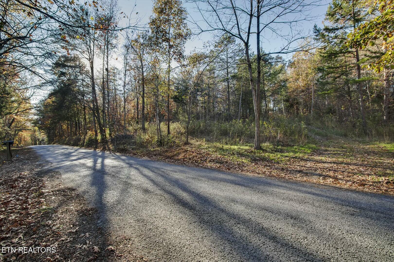 3-5 Morrison Road Decatur, TN 37322 - Photo 6 of 12 tempImage8t2Sp8
