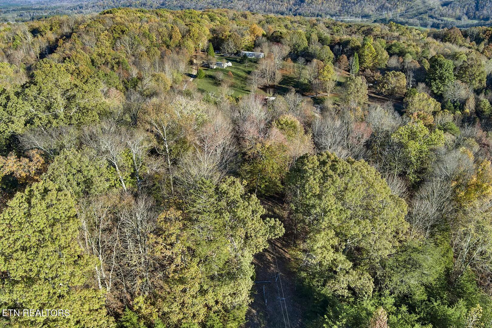3-5 Morrison Road Decatur, TN 37322 - Photo 7 of 12 tempImagemPzYVt